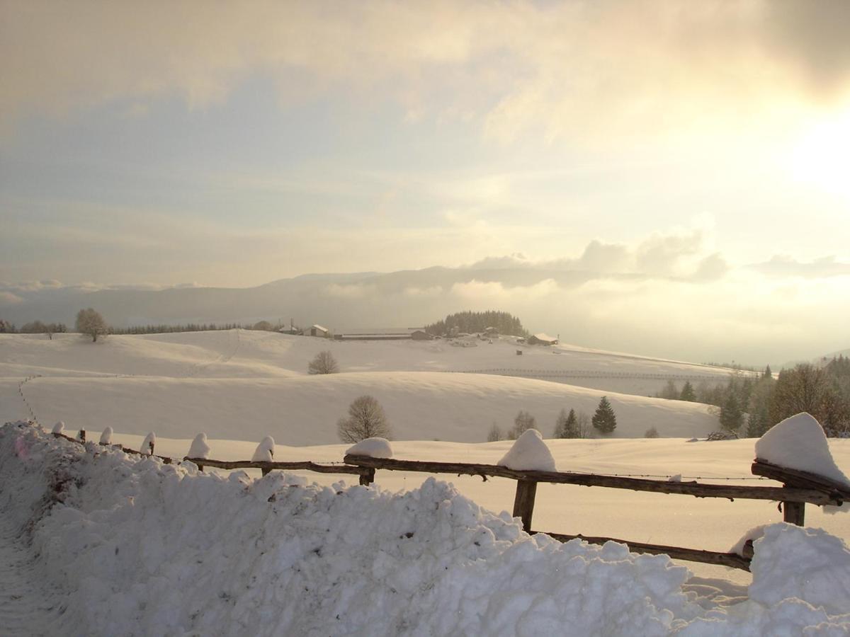 Da C I S A Bed & Breakfast Tambre dʼAlpago Екстериор снимка