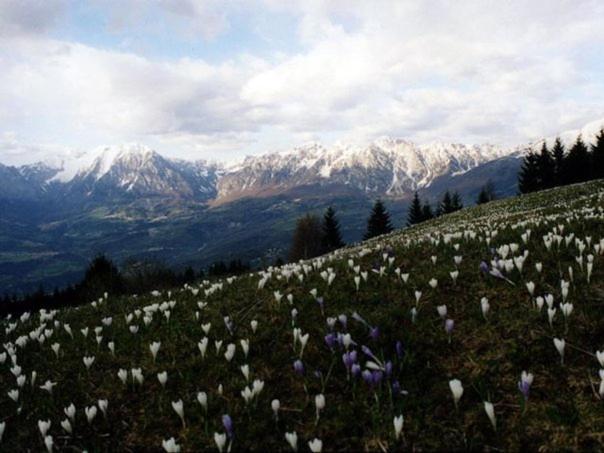 Da C I S A Bed & Breakfast Tambre dʼAlpago Екстериор снимка
