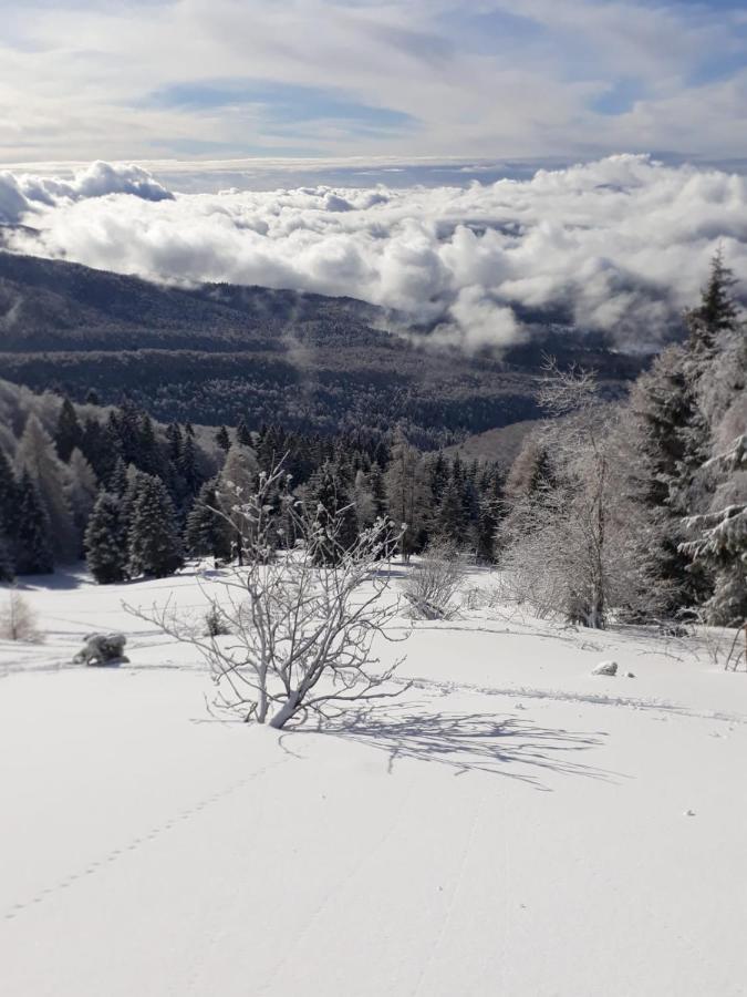 Da C I S A Bed & Breakfast Tambre dʼAlpago Екстериор снимка