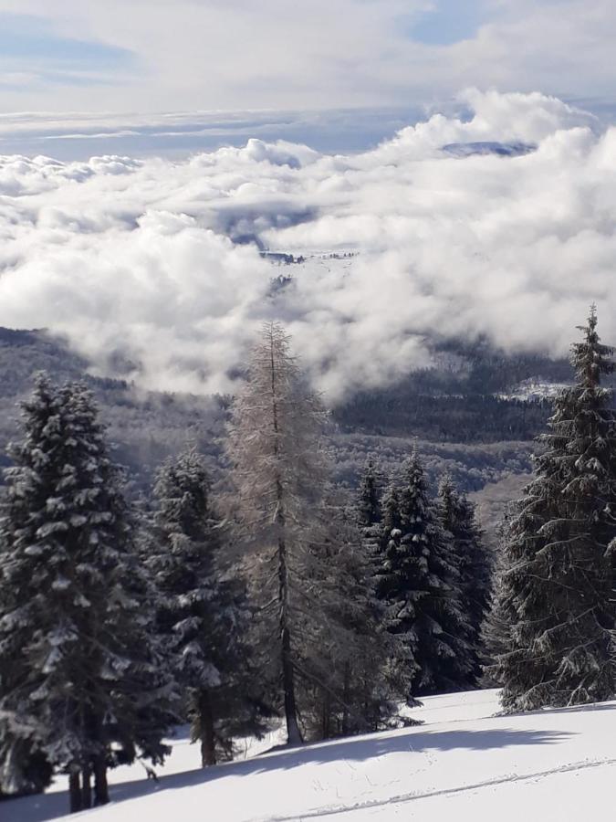 Da C I S A Bed & Breakfast Tambre dʼAlpago Екстериор снимка