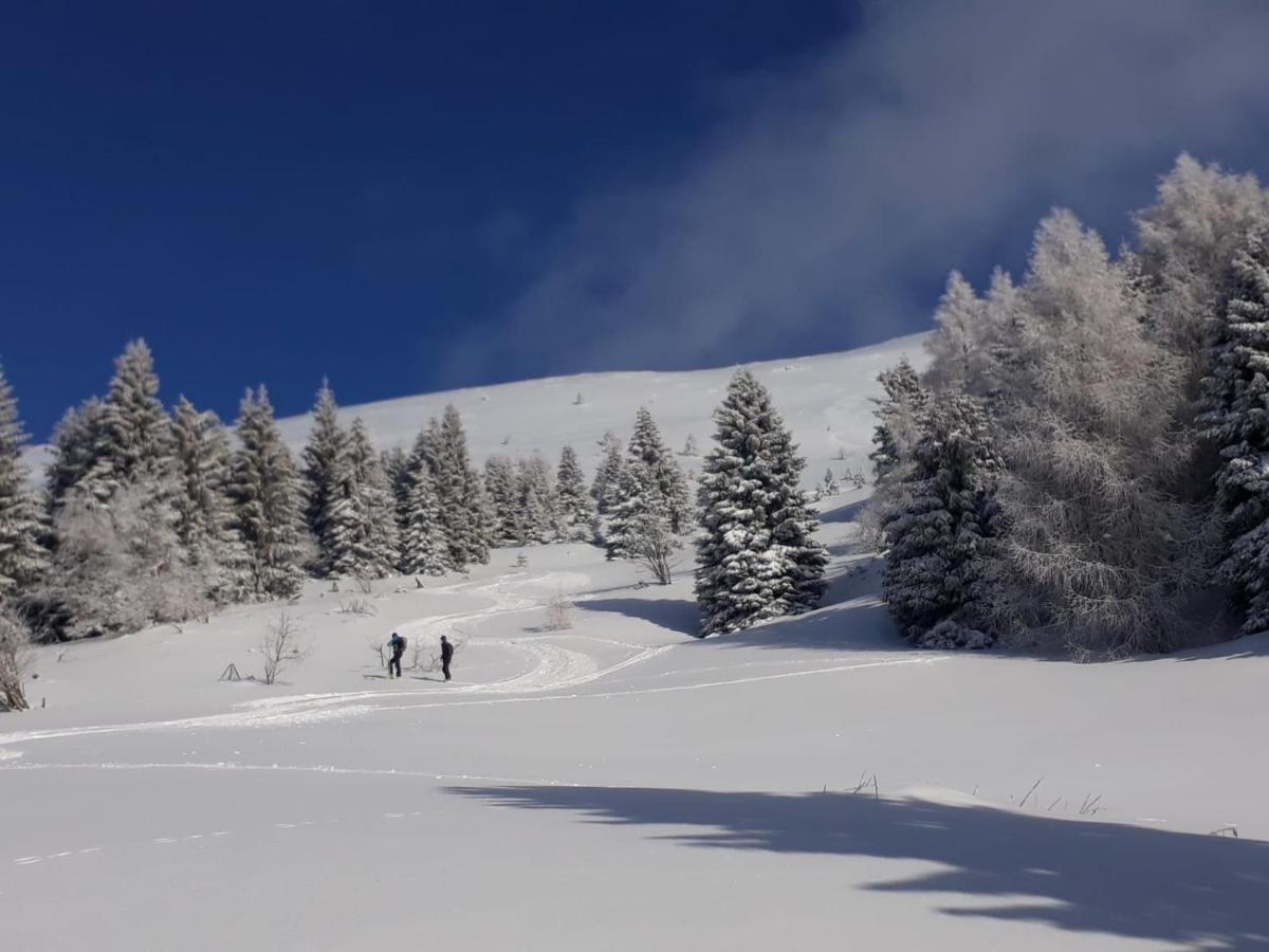 Da C I S A Bed & Breakfast Tambre dʼAlpago Екстериор снимка