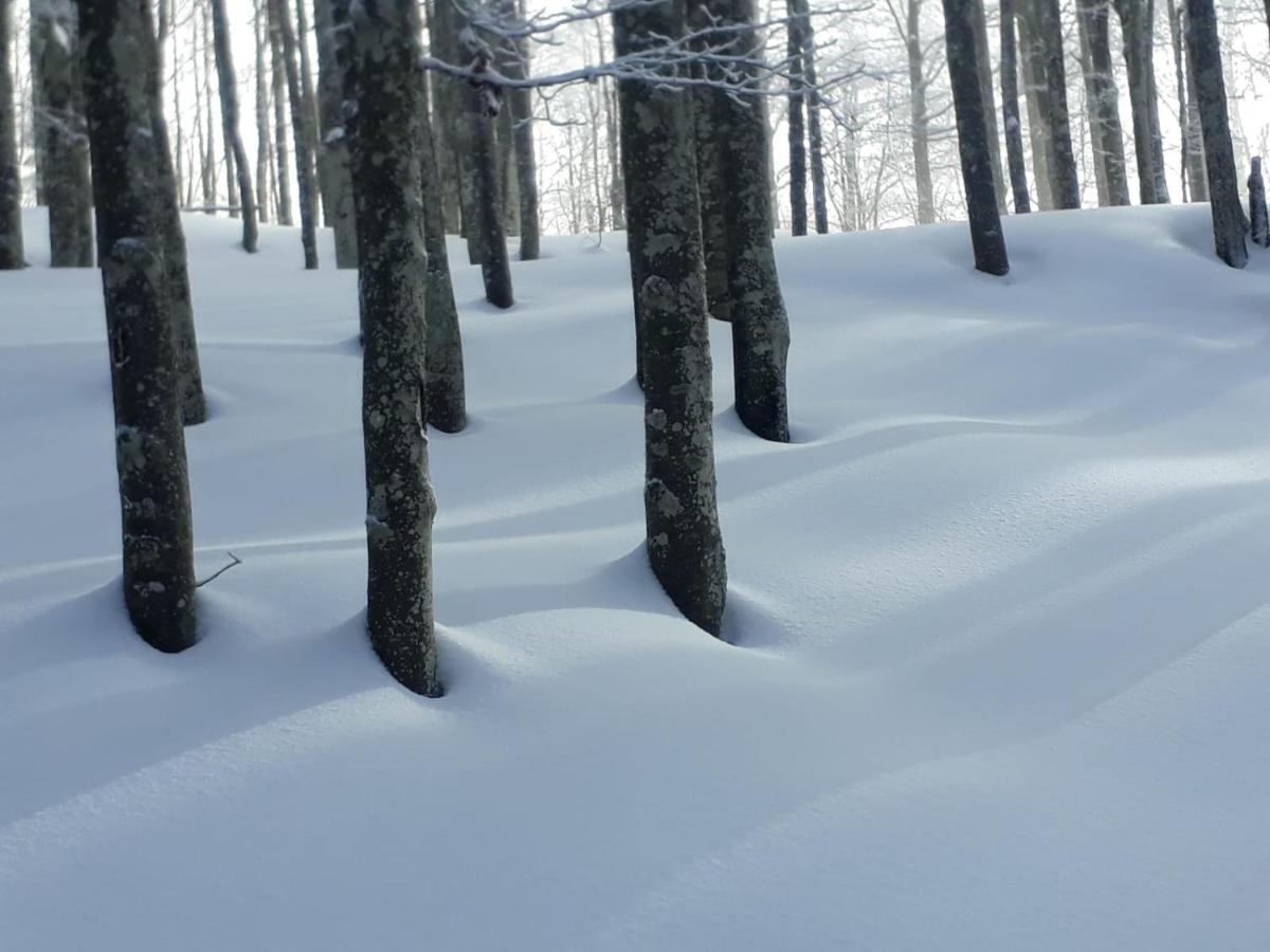 Da C I S A Bed & Breakfast Tambre dʼAlpago Екстериор снимка