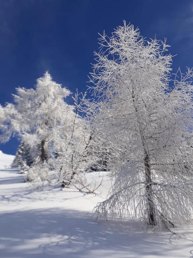 Da C I S A Bed & Breakfast Tambre dʼAlpago Екстериор снимка