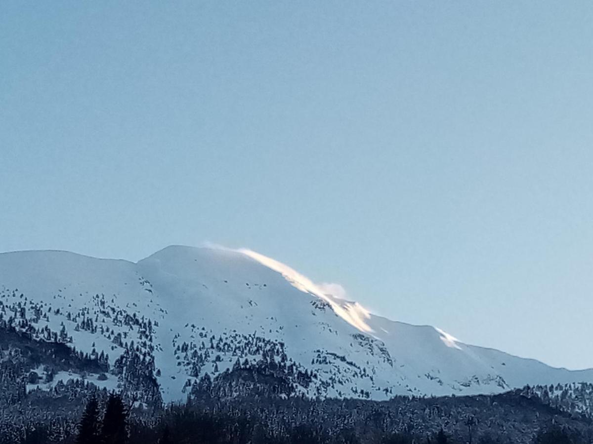 Da C I S A Bed & Breakfast Tambre dʼAlpago Екстериор снимка